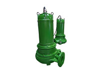 Cast Iron Submersible Pumps