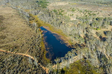 water quality after bushfire recovery