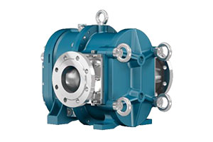 borger rotary lobe pump