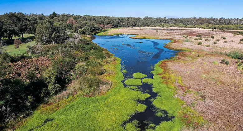 groundwater replenishment system