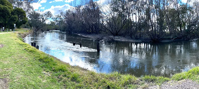 natural stormwater catchment