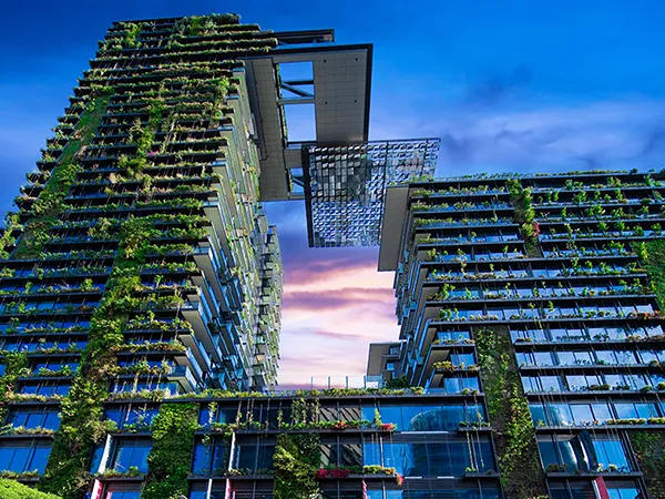 Sydney greywater recycling