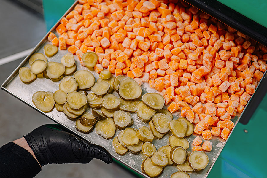 standing laboratory lyophiliser