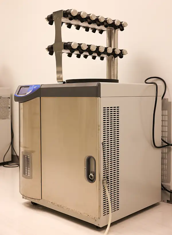 super low temperature freeze drying