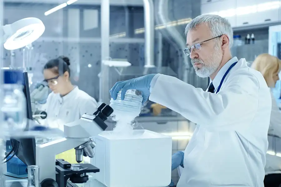 portable cold storage transport box