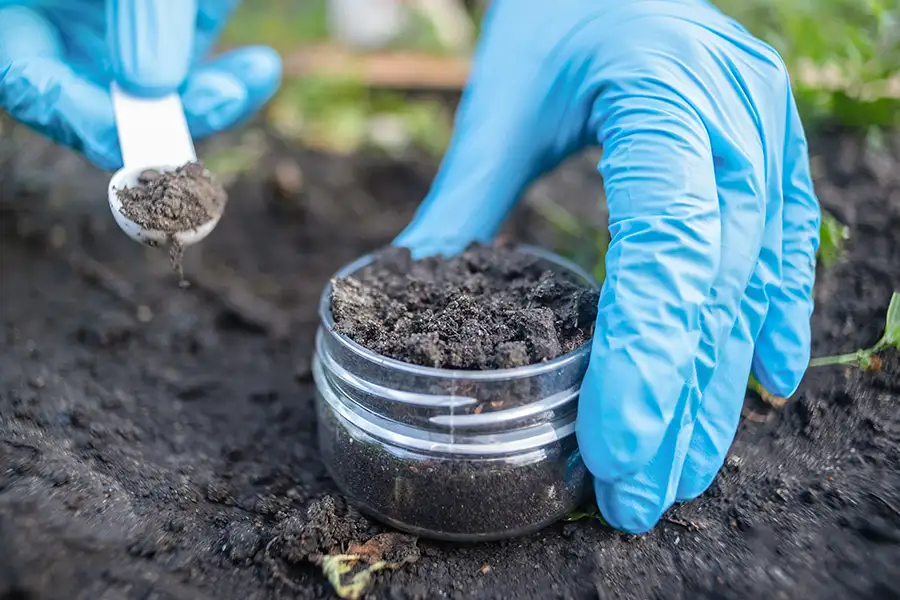 soil sample for freeze drying
