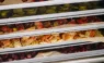 Scaling Up to Commercial Production With An Industrial Freeze Dryer commercial freeze dryer machine