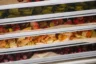 commercial freeze dryer machine
