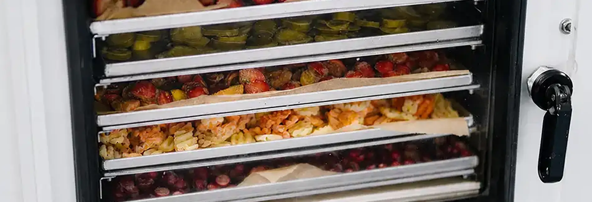 commercial freeze dryer machine