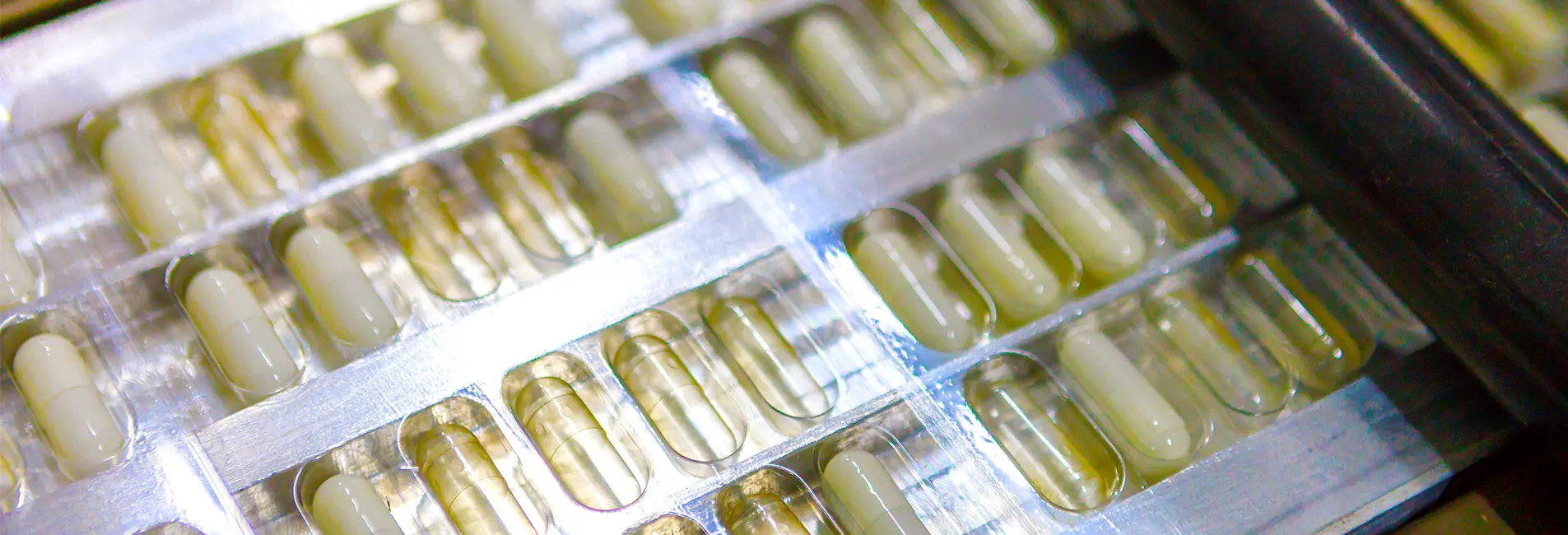 How to Prepare a Technical Specification for a Large Pharmaceutical Freeze Dryer